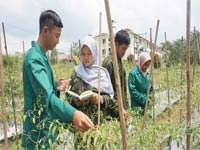 Executive Class Program Universitas Boyolali Nomor 10
